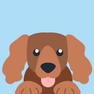 Milo — Office dog